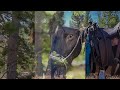 Title: Horses, Mules, and Mountains: in the Bridger Teton Wilderness