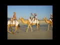 Camels Cable Beach