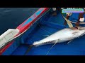 tuna fishing line part 1