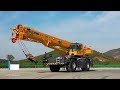 15 MOST Amazing Types of Cranes