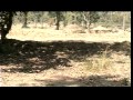 Mendha (Lekha) Documentary on Forest Right