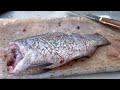 Street Food in Iranian Style🇮🇷‌ Fish & fruit market in the luxury Neighborhood of ​​Tehran