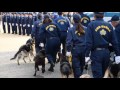 愛嬌いっぱいの警察犬｜山梨県警察 K-9 ep1