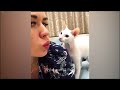 🐱 Pets Being Silly: A Compilation of Laughs 🐱🤣 Funny And Cute Cats Videos 2024 😅😂