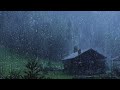 Rain Sounds for Sleeping - Sound of Heavy Rainstorm & Thunder in the Misty Forest At Night