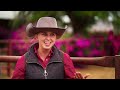 Australia and Oceania: Where Desert Meets Ocean | Documentary | Continents of the World Ep. 3