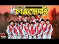 Banda Machos ( 20 Exitos ) - Puras Rancheras Mix