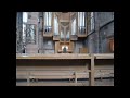 Organist at Frauenkirche Nürnberg