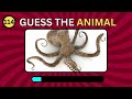 Guess 120 Animals in 3 Seconds | Animal Quiz | Quiz Life