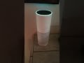 Amazon Alexa: The Wayne Investigation