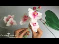 How to make phalaenopsis orchid by crepe paper/ oaihuonghandmade