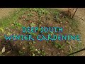 Deep South Winter gardening planting phlox. #shedwarsglobalgardeninghomesteading #shedwars24