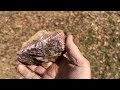 How To Find Quartz In The Woods For Flint And Steel