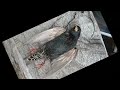 Starlings decoy hunting tip WARNING HUNTING VIDEO