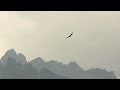 Wildlife Chronicles in Tatra's Alpine Realm | Full Documentary