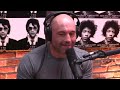 Joe Rogan - You Don't Want to Always Be High