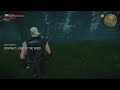 The Witcher 3: Lord of the Wood (Death March)