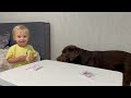 Adorable Baby Teaches Big Brother Table Manners! Cutest Ever!