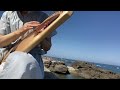 海の神社にライア演奏を奉納しました Dedicated a lyre performance to a shrine in the sea