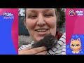 60 Minutes Of The Most Heroic Animal Rescues | Dodo Kids | 1 Hour Of Animal Videos For Kids