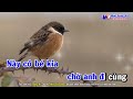 Chim Sáo Ngày Xưa Karaoke Tone Nam - Cha Cha Cha Dễ Hát - Nhạc Sống - Nhật Dũng KB