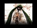 【鬱P】-Eng Subs- Corpse Attack!! ft. Hatsune Miku