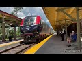 Sunrail + Amtrak Railfanning In Deland + Hornshows