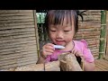 Build bamboo shelves to sell more vegetables and make swings for your daughter