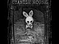 Maybe Away - Cyanide House