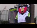 つばみ　愛しの鳥にロックオン！　試合前挨拶まとめ　東京ヤクルトvs千葉ロッテ　2018年5月31日