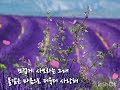 더욱더 사랑해/트윈폴리오/하모니카와 함께 동행을......