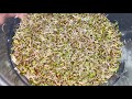 How to Sprout Beans & Seeds Part 5 | Mung | Pinto | Yellow Mustard | Alfalfa | Sprouting Trays