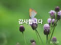 I owe you/ 케리,론/추억의 팝송