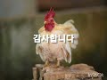 향수/이동원,박인수/추억의 골든 포크송