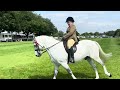 WE WON!! ROYAL NORFOLK SHOW WINNER- RIDING HORSE CLASS