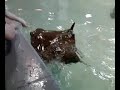 Yesenia at the Sting Ray Reef feeding the rays 02-20-11