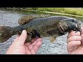 THE KANSAS ANGLER OL MUDDY SMALLMOUTH ON TOPWATER WOPPER PLOPPER WADING IN RIVER