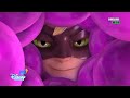 Ladynoir Progression | changes in how she sees cat noir | Season 1-4 (so far) | Miraculous Ladybug