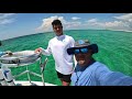 Panama City Florida (Shell Island) Snorkeling & Fishing 4K