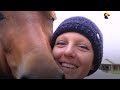 Loyal Horse And Her Mom Have The Strongest Bond | The Dodo