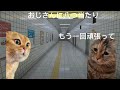 仕事帰りに八番出口に迷った猫　#猫ミーム #猫マニ