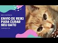 GET REIKI to Heal Your Sick Cat [Reiki from a distance]