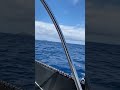 Easy sailing in Fiji