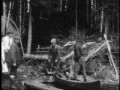 Largest Moose Killed in Canada 1929