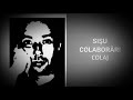 SIŞU - COLABORĂRI / COLAJ 2