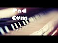 🎹Pad C#m - Pad Do sostenido menor - Pad C# menor🎹