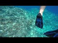 BigIsland Snorkel So clear2  2019