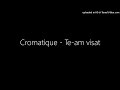 Cromatique - Te-am visat