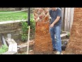 How To Prune a Mexican Fan Palm Tree