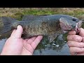 THE KANSAS ANGLER ENDING THE DAY WITH ANOTHER SMALLMOUTH BASS TOPWATER WOPPER PLOPPER FISHING RIVER